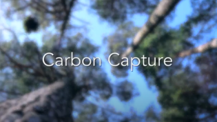 Carbon Capture
