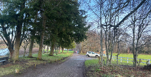 A single track road with grass on either side and lined with trees.