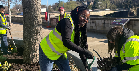 A group of volunteers wearing high-visibility vests are planting flowers and shrubs in an urban green space. One woman in the foreground is smiling while using a trowel, while another is placing a plant into the soil. Other volunteers are working in the background near a tree, with a river, bridge, and walkway visible behind them.