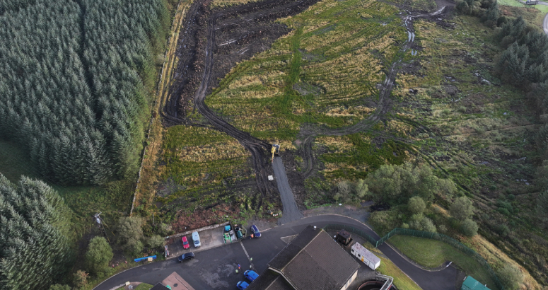 image of tree felling