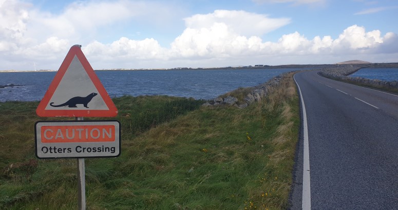 A road sign warning of otters crossing next to a coastal road with a view of the sea and cloudy sky in the background.