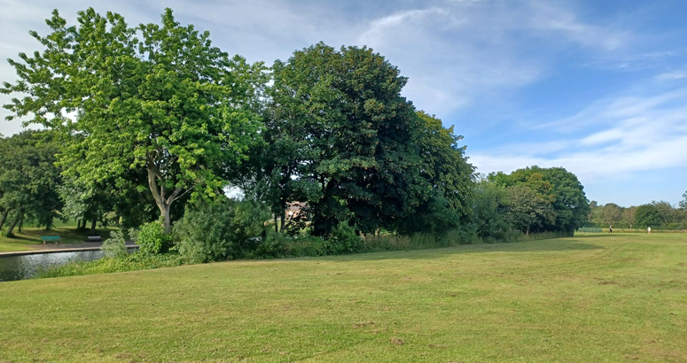 Trees and a grassy area. A pond is visible in the background