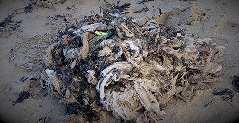 a pile of dirty wet wipes on a beach