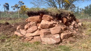 The new hibernacula at Powfoot Wastewater Treatment Works