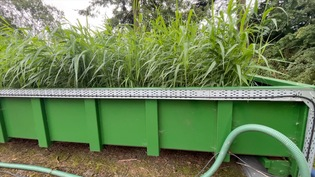 The mobile reedbed unit