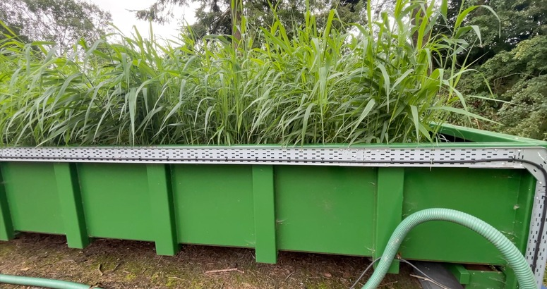 The mobile reedbed unit