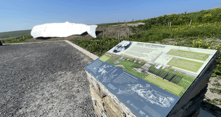 An interpretation board mounted on a stone plinth sits in the foreground of the picture. It is cited in a car park, with grass behind it. In the background of the far left of the picture sits a 12metre long metal sculpture of a sperm whale, facing out of the frame.
