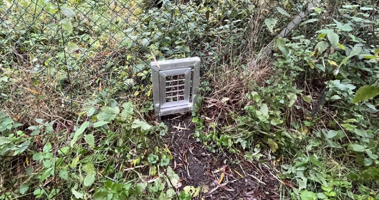 A badger gate has been installed at the site at Newbridge