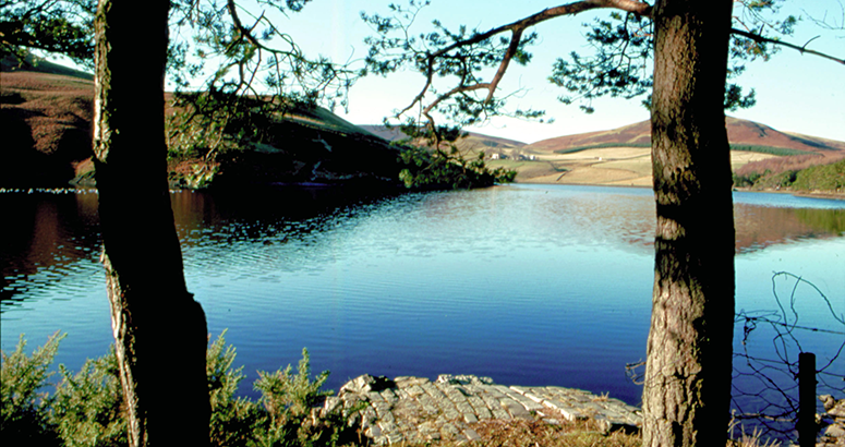 Managing Water Resources Glencorse